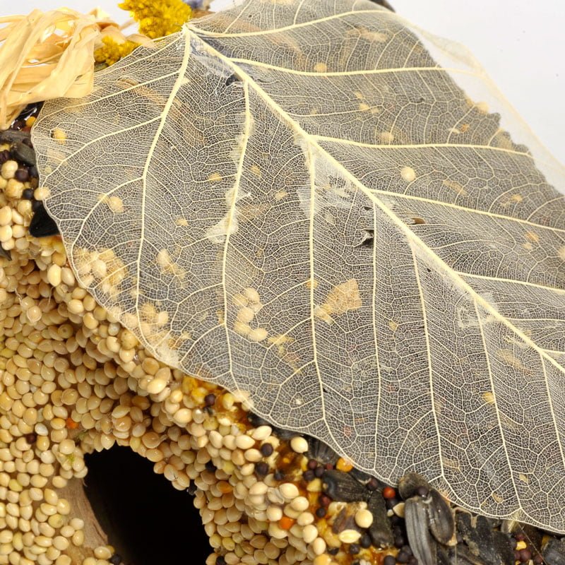 Mr. Bird Birdie Cottage All Season - Assorted - Image 8